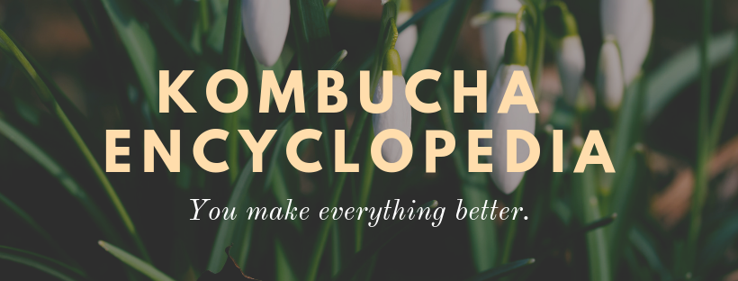 コンブチャ大百科～Kombucha Encyclopedia～